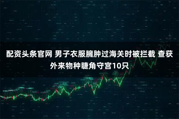 配资头条官网 男子衣服臃肿过海关时被拦截 查获外来物种睫角守宫10只